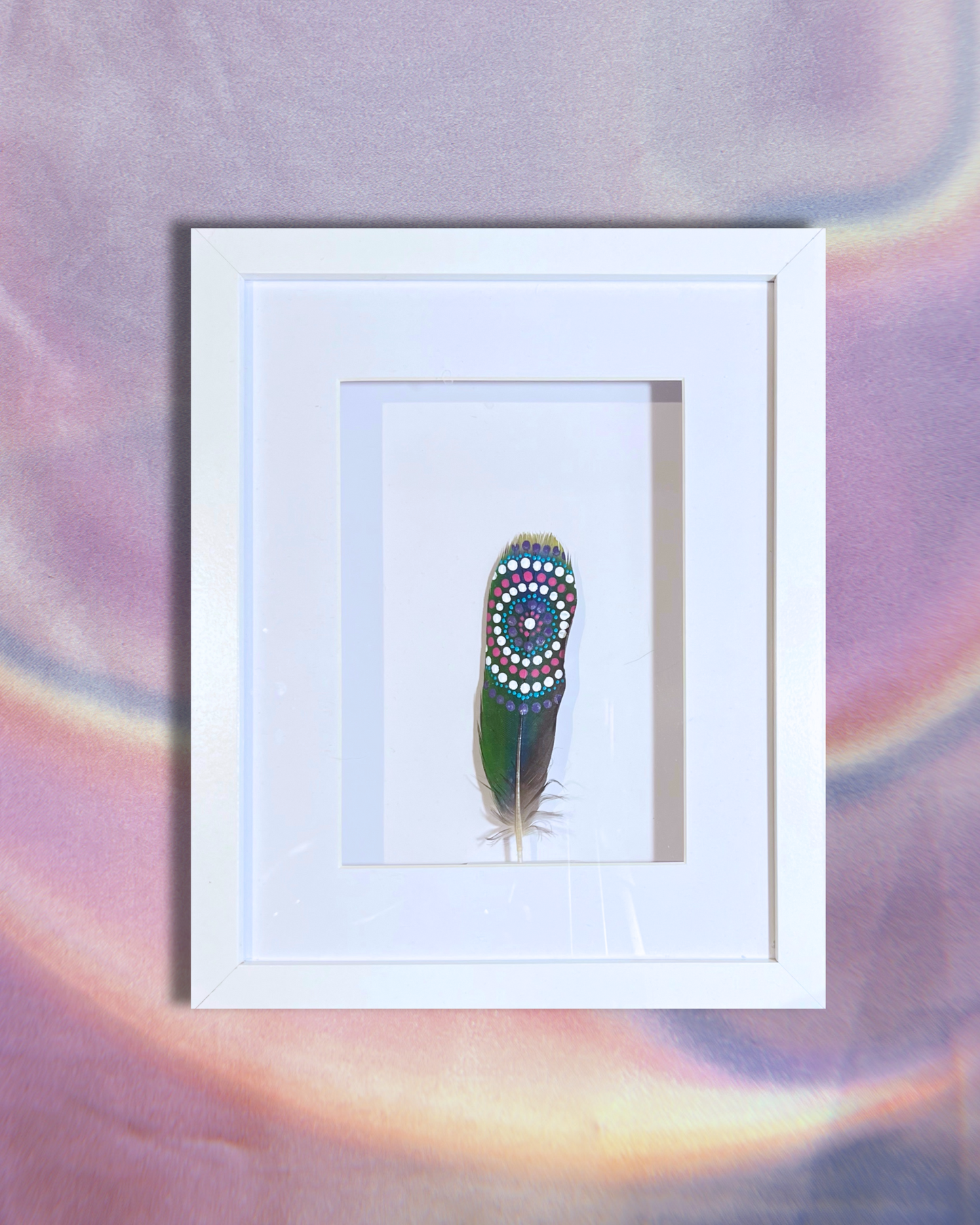 Framed Macaw Feather