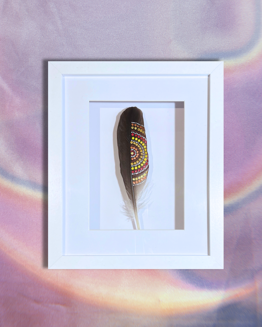 Framed Sea Hawk Feather