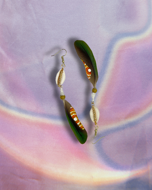 Rainbow Lorikeet & Kauri Shells