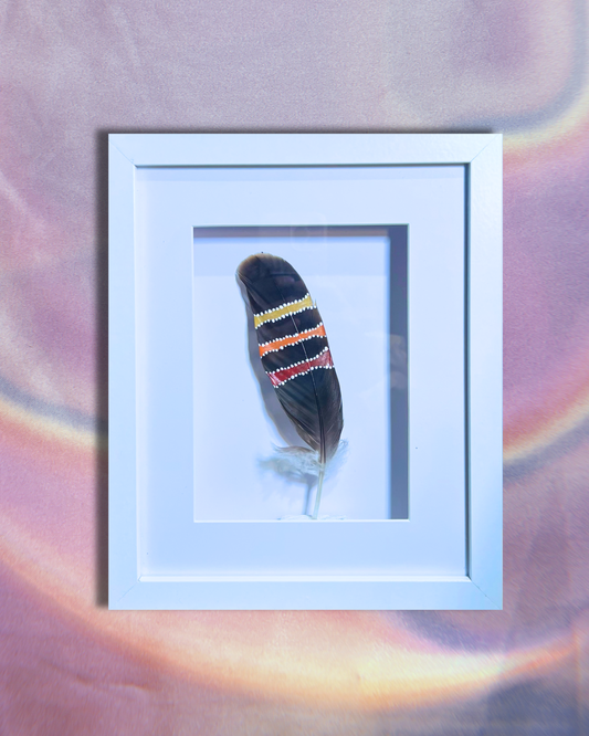 Framed Sea Hawk Feather