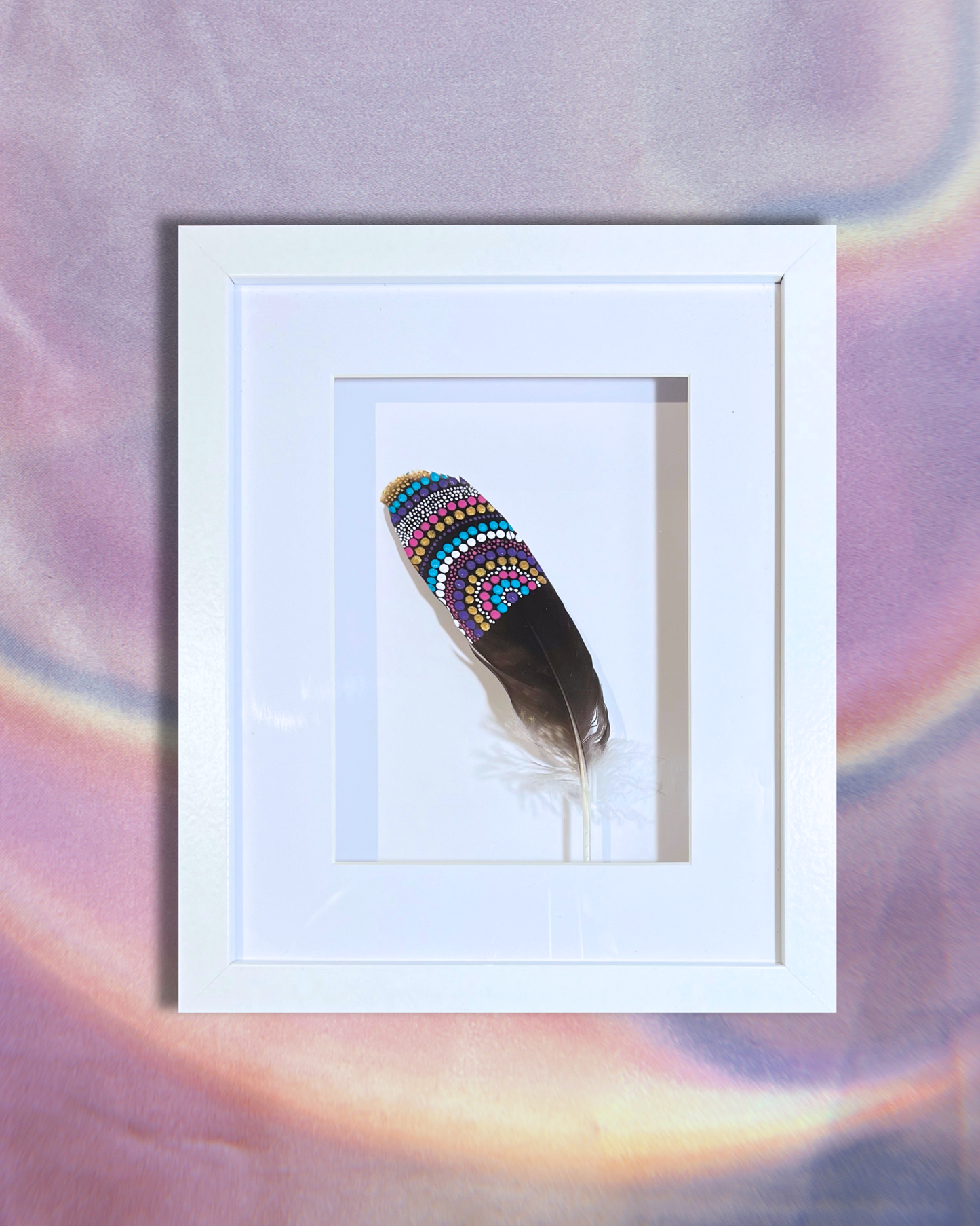 Framed Sea Hawk Feather