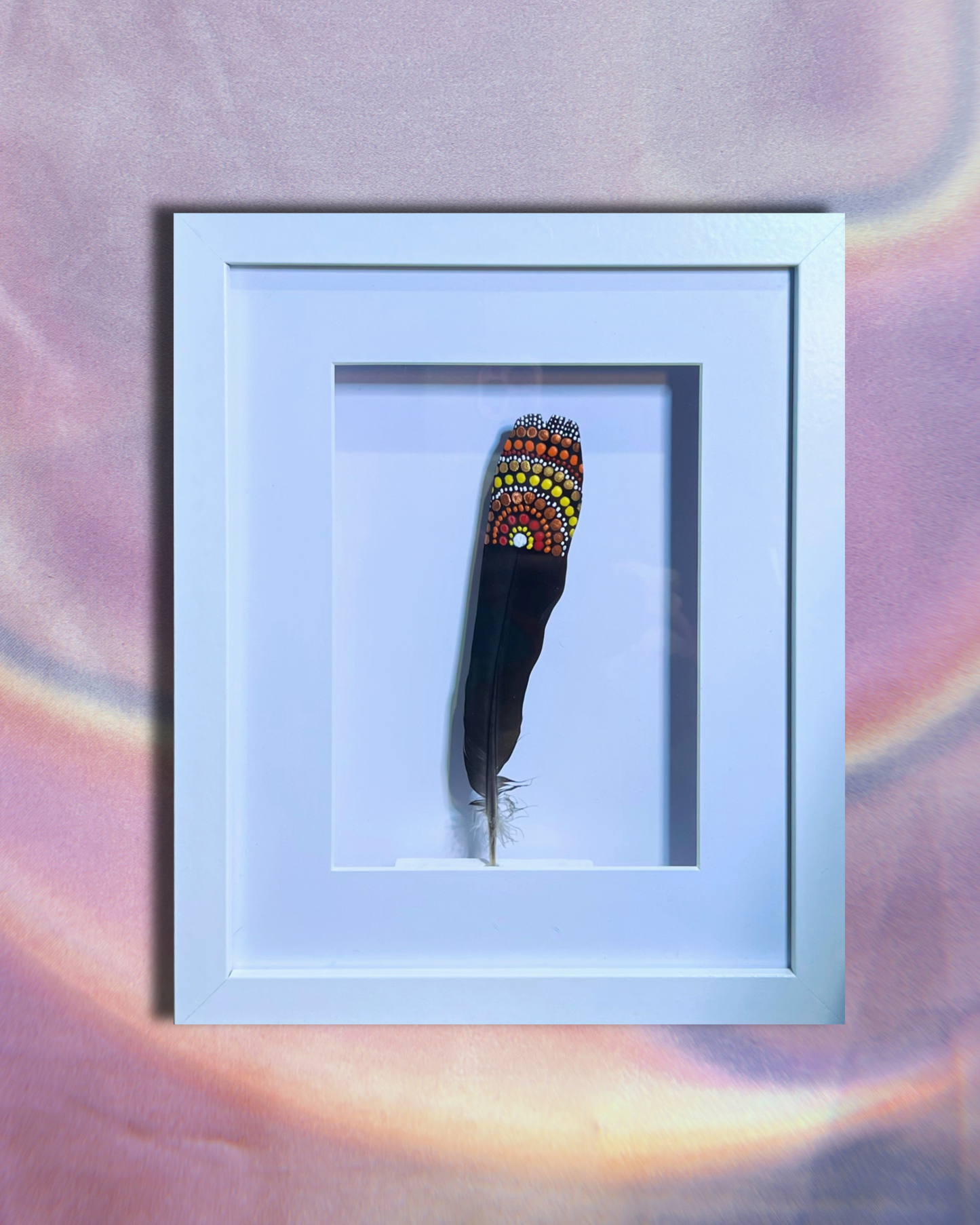 Framed Bush Turkey Feather