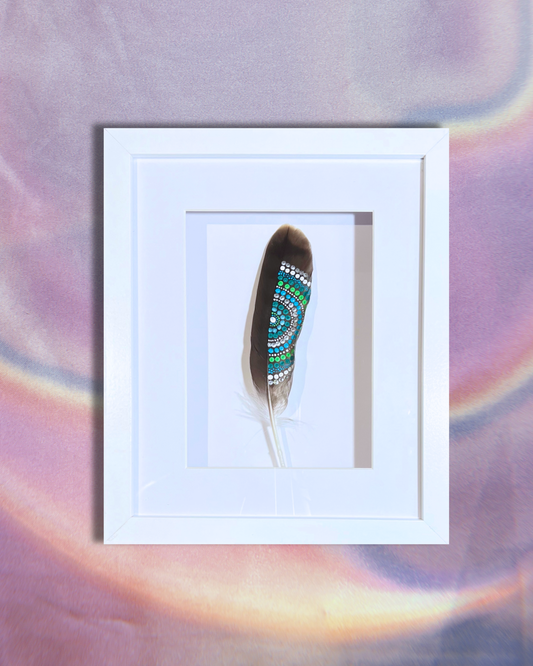 Framed Sea Hawk Feather